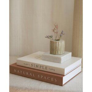Beautiful Decorative Books Set of 2 Boxes Enhance Your Coffee Table Shelf Decor
